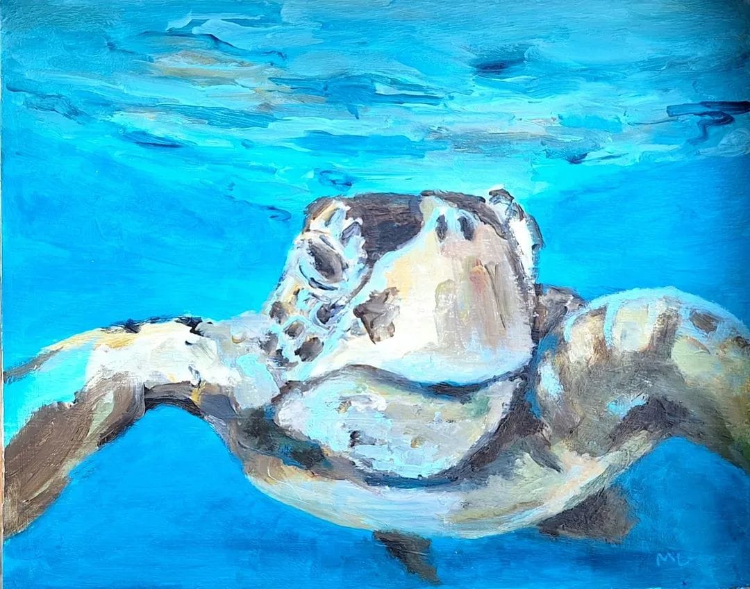 Ver weg en toch dichtbij